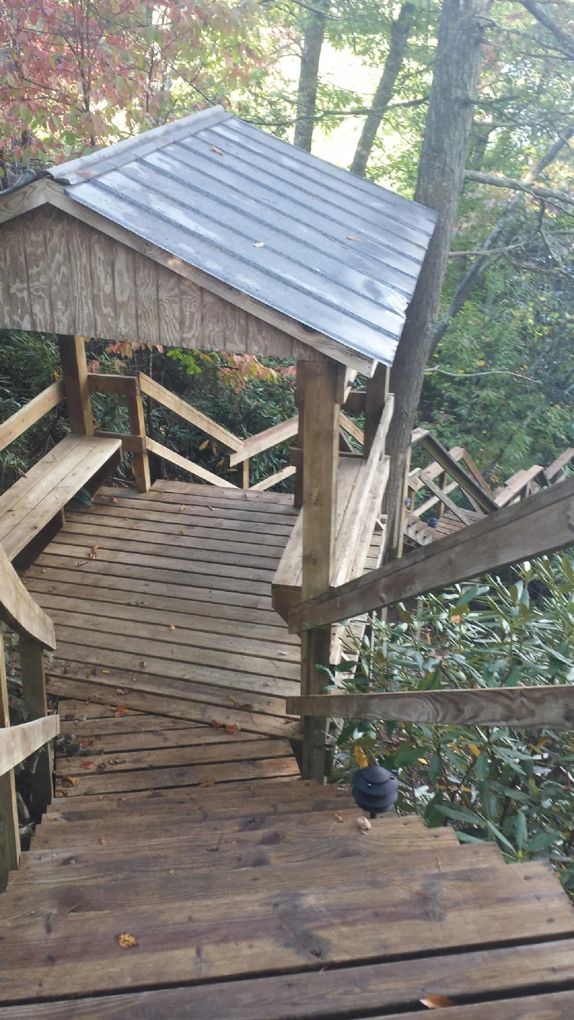 Metal roofed shelter over wooden steps on a wooded walkway — Skylight Repair & Installation work by our crew in Falkner